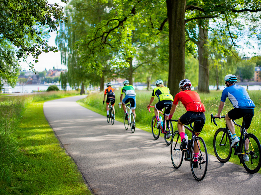 Grupp av cyklister som cyklar genom Stockholms parker